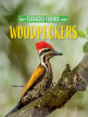 cover image of Woodpeckers